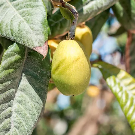 Casa Verano - * Moraira